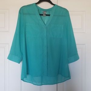 Vanity Teal Sheer Top Size Large